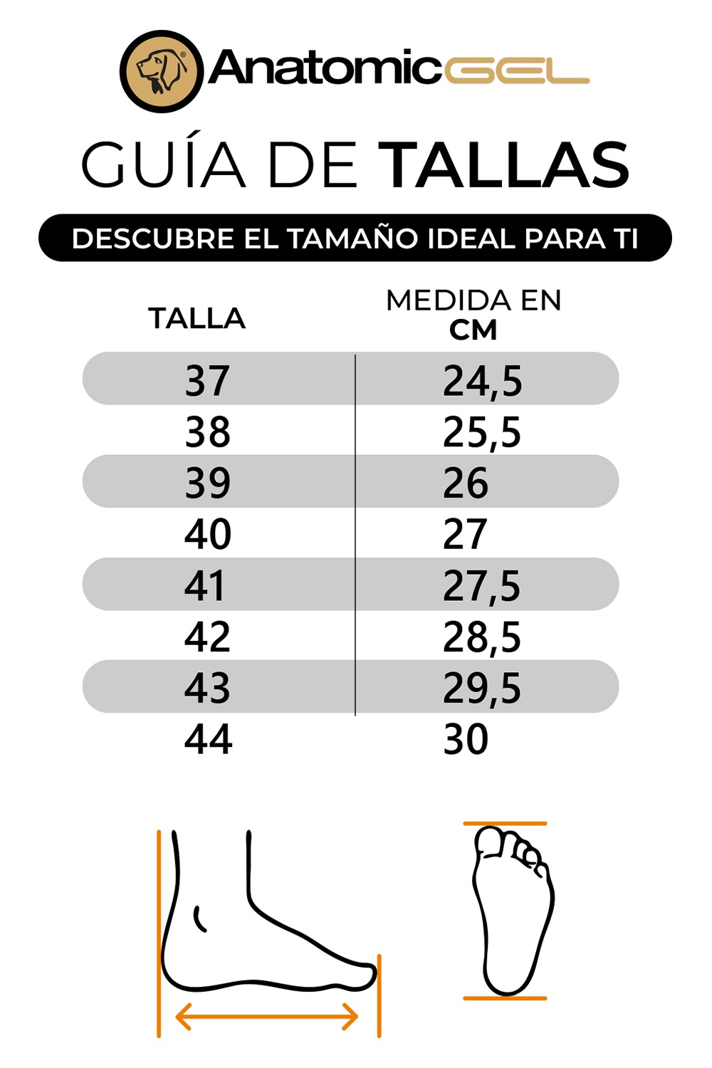 Guía de tallas - masculino - Tallas anatomicgel